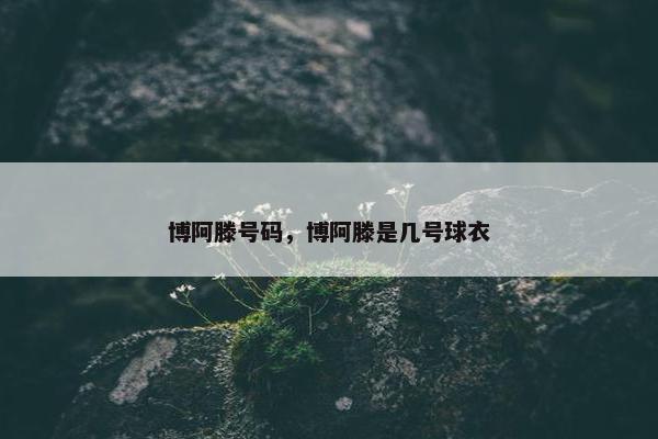 博阿滕号码，博阿滕是几号球衣