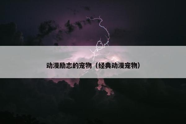 动漫励志的宠物（经典动漫宠物）