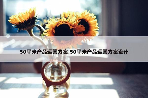 50平米产品运营方案 50平米产品运营方案设计