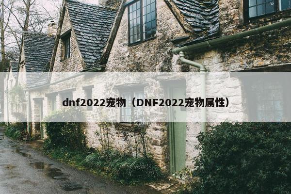 dnf2022宠物（DNF2022宠物属性）