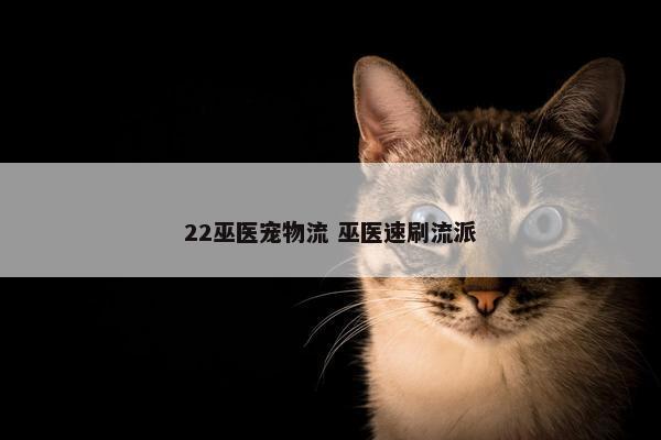 22巫医宠物流 巫医速刷流派