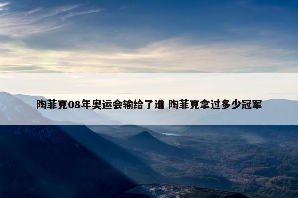 陶菲克08年奥运会输给了谁 陶菲克拿过多少冠军