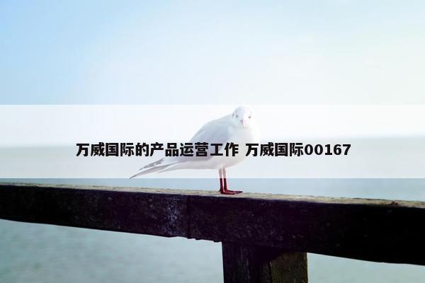 万威国际的产品运营工作 万威国际00167