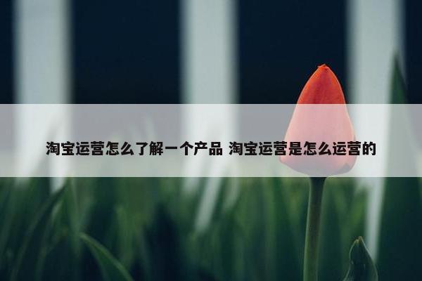 淘宝运营怎么了解一个产品 淘宝运营是怎么运营的