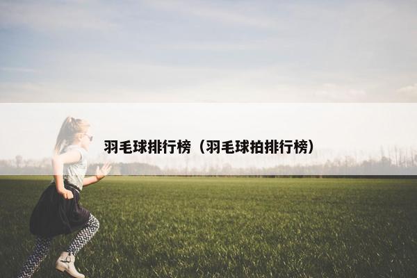 羽毛球排行榜（羽毛球拍排行榜）