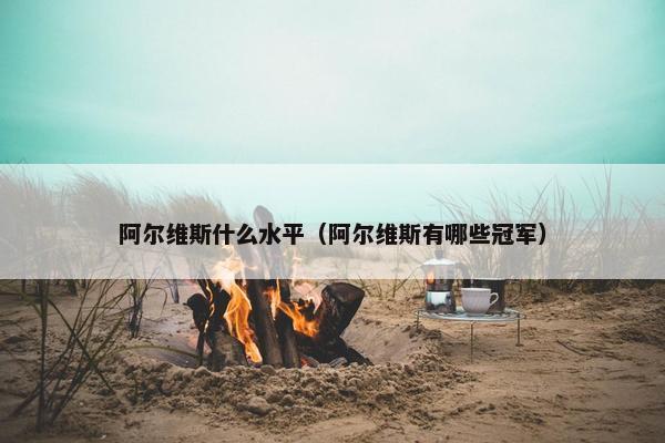 阿尔维斯什么水平（阿尔维斯有哪些冠军）