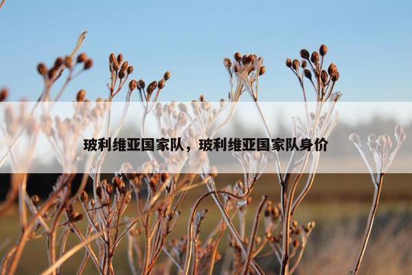 玻利维亚国家队，玻利维亚国家队身价