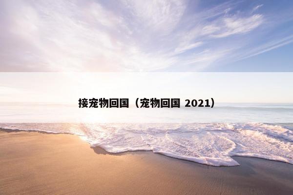 接宠物回国（宠物回国 2021）