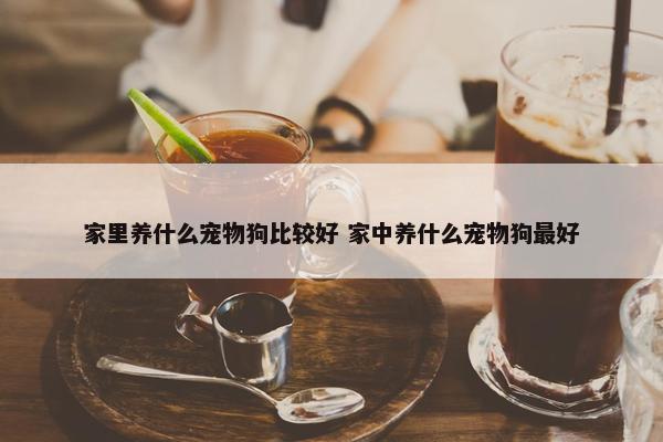 家里养什么宠物狗比较好 家中养什么宠物狗最好