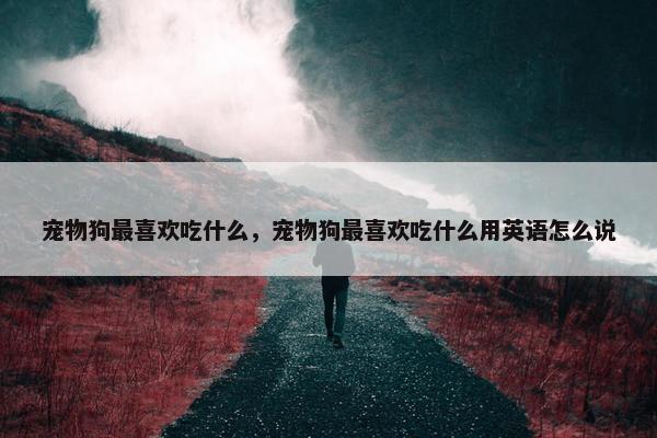 宠物狗最喜欢吃什么，宠物狗最喜欢吃什么用英语怎么说