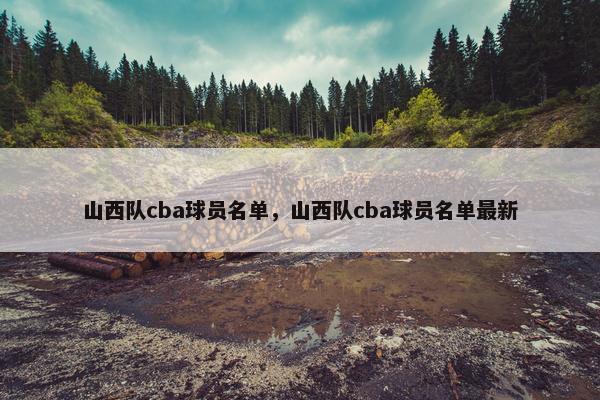 山西队cba球员名单，山西队cba球员名单最新