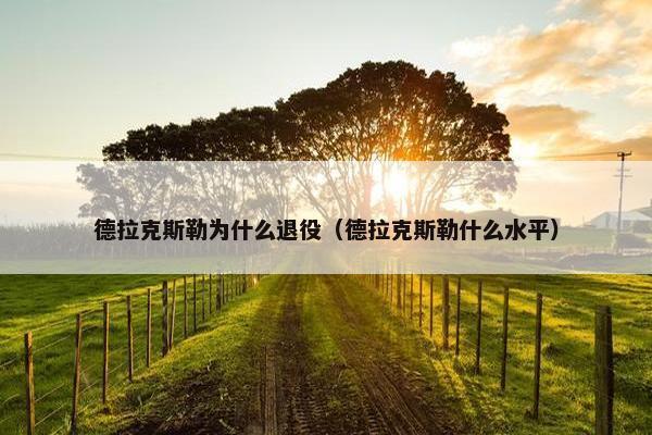 德拉克斯勒为什么退役（德拉克斯勒什么水平）