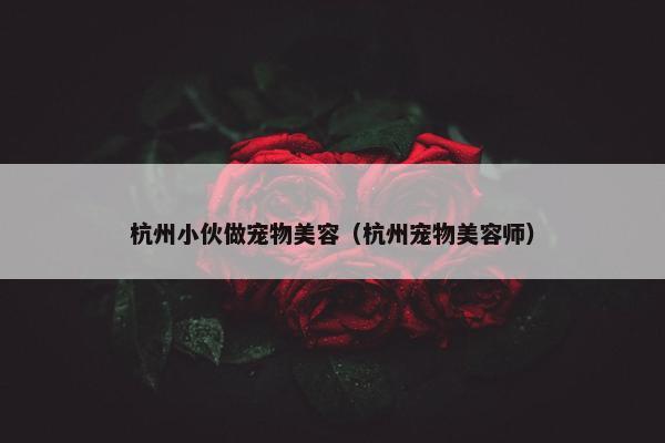 杭州小伙做宠物美容（杭州宠物美容师）