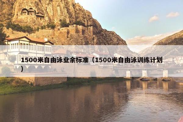 1500米自由泳业余标准（1500米自由泳训练计划）