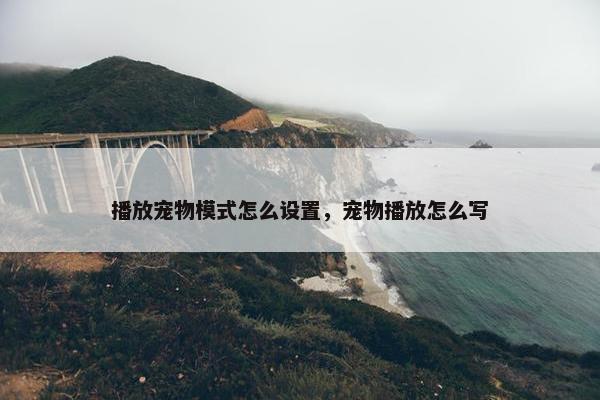 播放宠物模式怎么设置，宠物播放怎么写