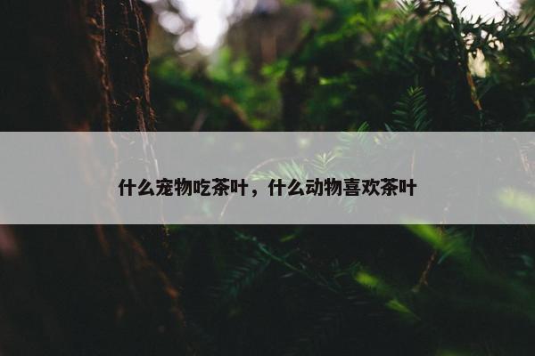 什么宠物吃茶叶，什么动物喜欢茶叶