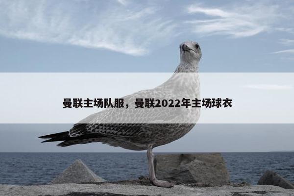 曼联主场队服，曼联2022年主场球衣