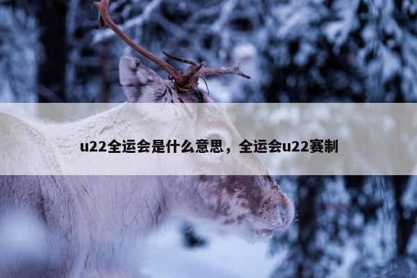 u22全运会是什么意思，全运会u22赛制