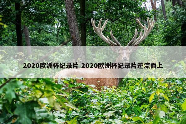 2020欧洲杯纪录片 2020欧洲杯纪录片逆流而上