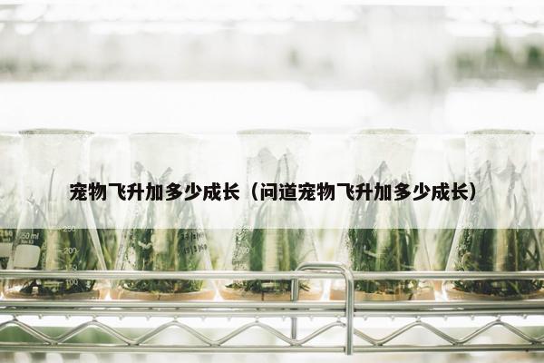 宠物飞升加多少成长（问道宠物飞升加多少成长）