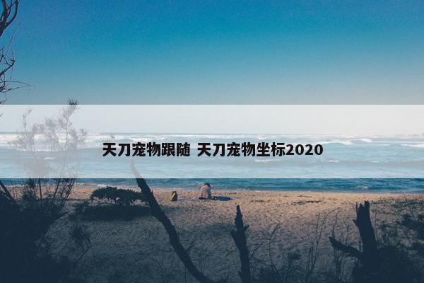 天刀宠物跟随 天刀宠物坐标2020