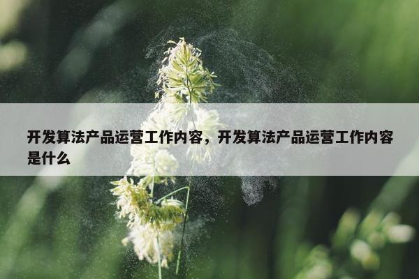 开发算法产品运营工作内容，开发算法产品运营工作内容是什么