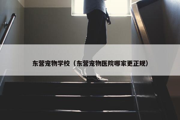 东营宠物学校（东营宠物医院哪家更正规）