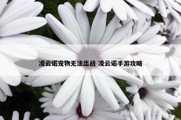 凌云诺宠物无法出战 凌云诺手游攻略