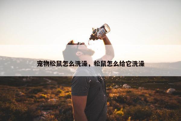 宠物松鼠怎么洗澡，松鼠怎么给它洗澡