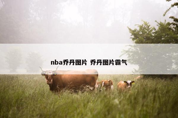 nba乔丹图片 乔丹图片霸气