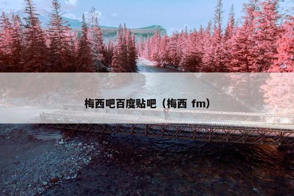 梅西吧百度贴吧（梅西 fm）