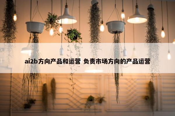 ai2b方向产品和运营 负责市场方向的产品运营