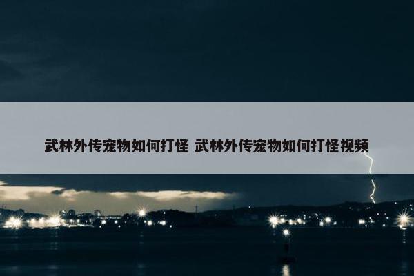 武林外传宠物如何打怪 武林外传宠物如何打怪视频